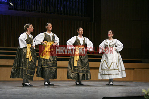 lisinskizeljeznicar (70)